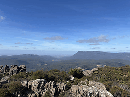 Quamby Bluff