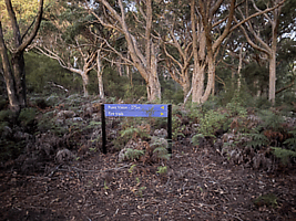 Narawntapu