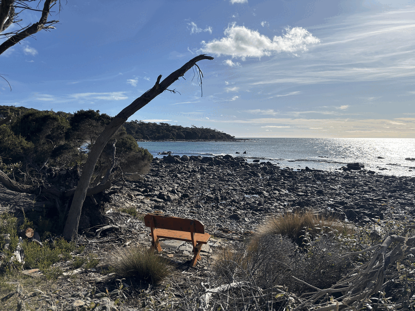 Greens Beach