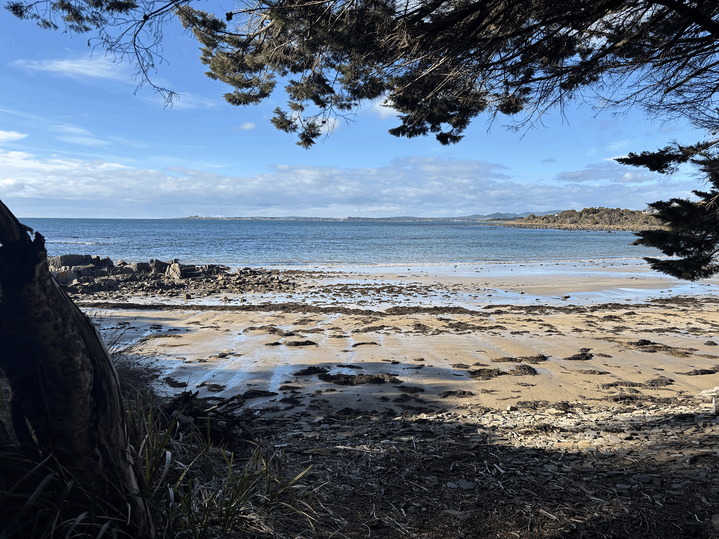 Greens Beach